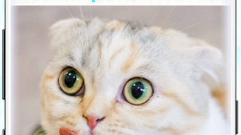 の画像0
