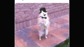 の画像0