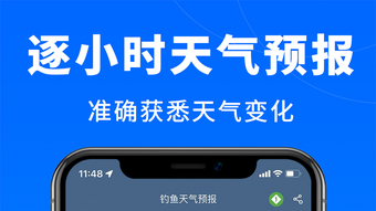 的第0张图片