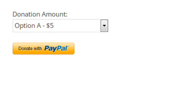 Accept Donations with PayPal amp Stripe