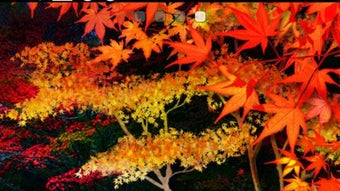 の画像0