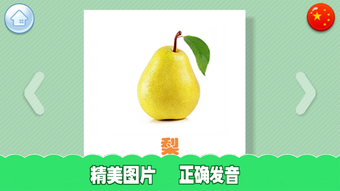 의 이미지 0