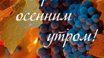 Изображение 0 для 