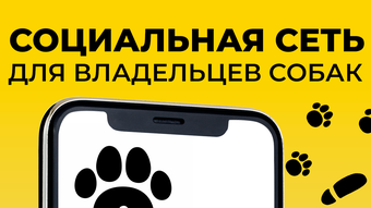 Айда Гулять