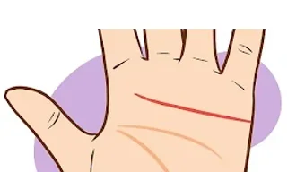 の画像0