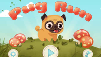 Pug Run