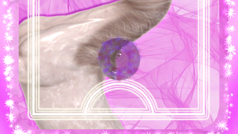 Imagem 0 para 