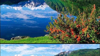  için 0 numaralı resim