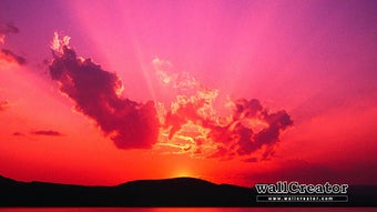 の画像0