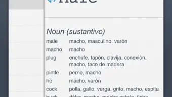 Spanish Dictionary  Offline Translation With Pronunciation