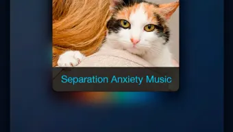 Relax Music for Cats