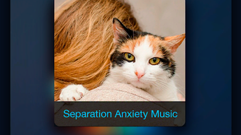 Relax Music for Cats