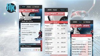 Cup Hunt 2024 - NHL Playoff Stats