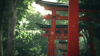의 이미지 0