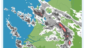 Afbeelding 0 voor 