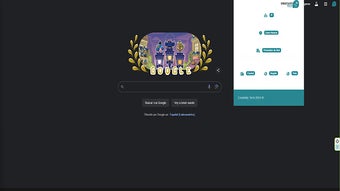  için 0 numaralı resim