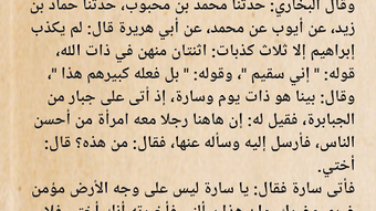 الصورة 0 لـ 