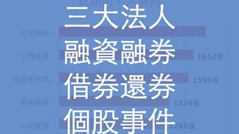의 이미지 0