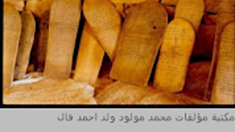 الصورة 0 لـ 