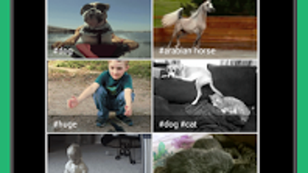  için 0 numaralı resim