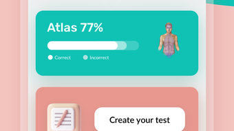 Easy Anatomy. Atlas learning