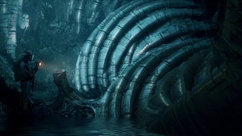 Изображение 0 для 