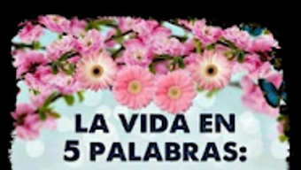 Imagen 0 para 