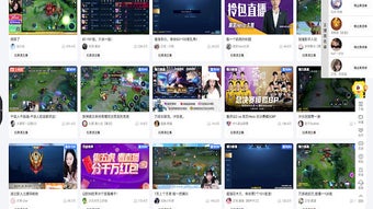 의 이미지 0