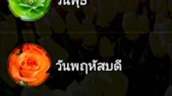 의 이미지 0