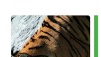 Imagem 0 para 