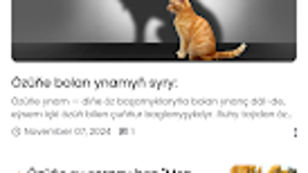 Bild 0 för 