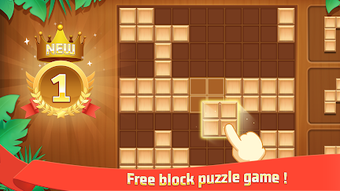 Block Puzzle - Break with fun