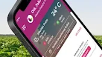 的第0张图片