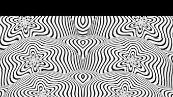 的第0张图片