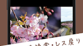 の画像0