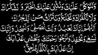 الصورة 0 لـ 