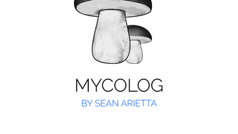 の画像0