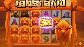 รูปภาพ 0 สำหรับ 