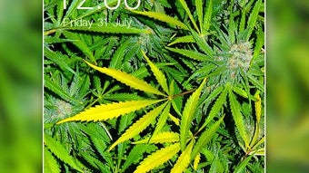 的第0张图片