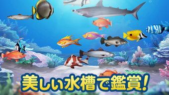 の画像0
