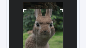の画像0