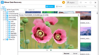 Image 0 for 