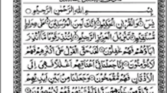 الصورة 0 لـ 