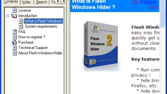 Flash Windows Hider
