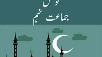 الصورة 0 لـ 