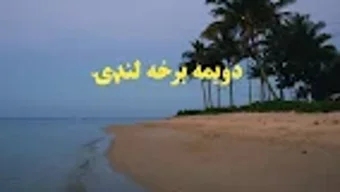 의 이미지 0