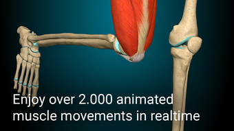 Anatomy Learning - 3D Anatomy