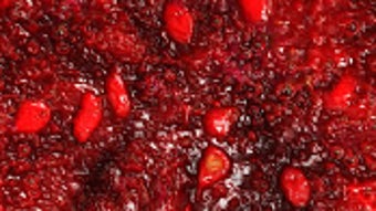 Изображение 0 для 