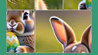 รูปภาพ 0 สำหรับ 