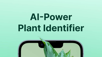 AI Plant Identifier.